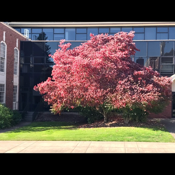 Meet your Posher, Erica - Picture 1 of 6